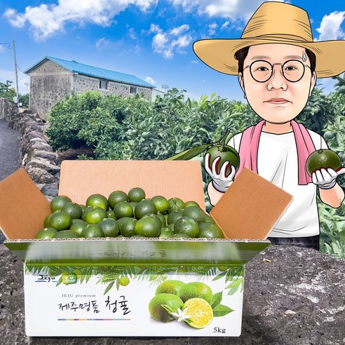 산지직송 제주 효돈 제철 풋귤 청귤 2kg 3kg 5kg 10kg 실중량, 1박스, 01.제주 효돈 청귤 혼합과 (랜덤크기) 2kg