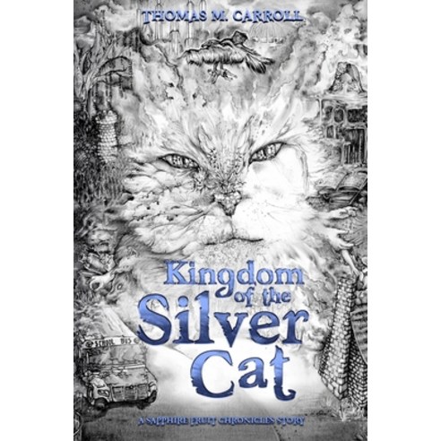 Kingdom of the Silver Cat Paperback, Author