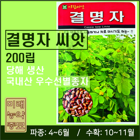 국내산 결명자 씨앗 200립- cassia seeds, 1개