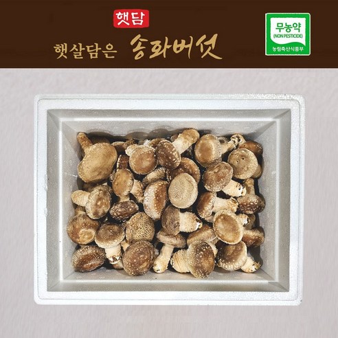 [3+1] 무농약 이천 햇살가득 담은 송이버섯 가정형 500g, 1kg 농협 납품, 1박스 채소