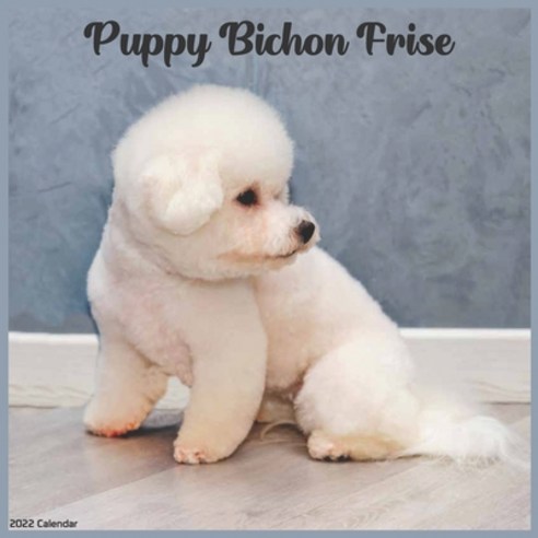 Bichon Frise Puppy 2022 Calendar: Official Bichon Frise Puppies 2022 Calendar 16 Month Calendar Paperback, Independently Published, English, 9798738080166