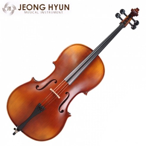 정현 첼로 300호 현음악기, 1개