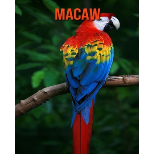 Macaw: Amazing Facts about Macaw Paperback, Independently Published, English, 9798551085225
