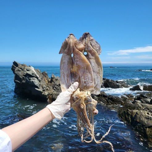 동해안 건오징어 2미 구룡포 마른오징어, 건오징어 2미 150g, 1개