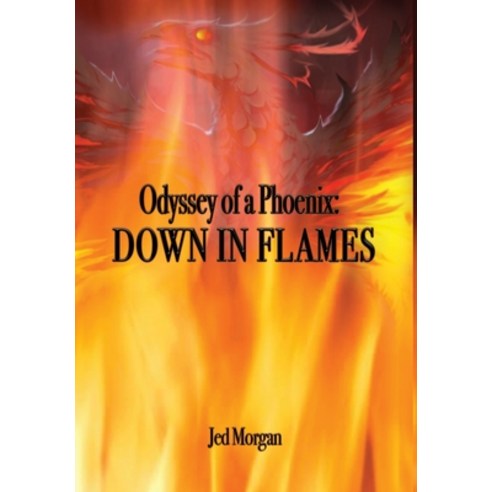 (영문도서) Odyssey of a Phoenix: Down in Flames Hardcover, Writers Republic LLC, English, 9781637285343