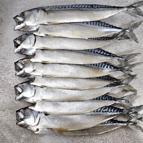 맛있는 노르웨이 자반고등어 대 10마리 - 자반고등어 | 쿠팡