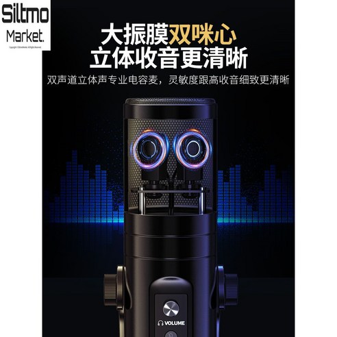 asmr마이크 usb 먹방 개인방송 고급 회의용 스테레오 심플한, 표준, E타입 블랙 1세트