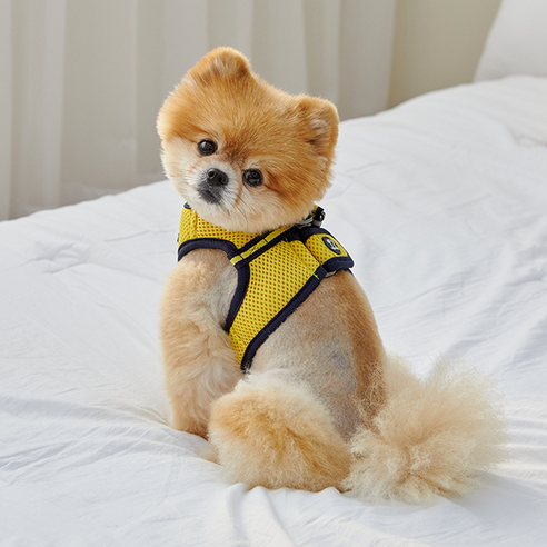 RealPet 프리세이프 강아지 조끼 하네스, 옐로우, 1개