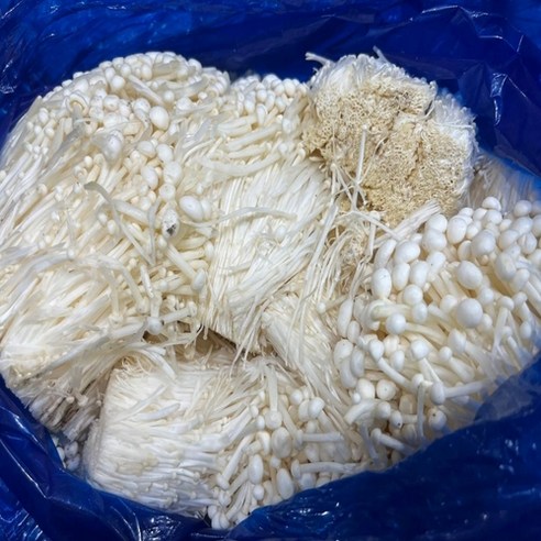 야채삼촌 담백한 국내산 팽이버섯 2kg 4kg, 1개이라는 상품의 현재 가격은 7,900입니다.