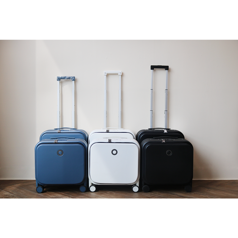 소형 애완동물을 위한 편안하고 안전한 이동을 위한 최고의 미니캐리어