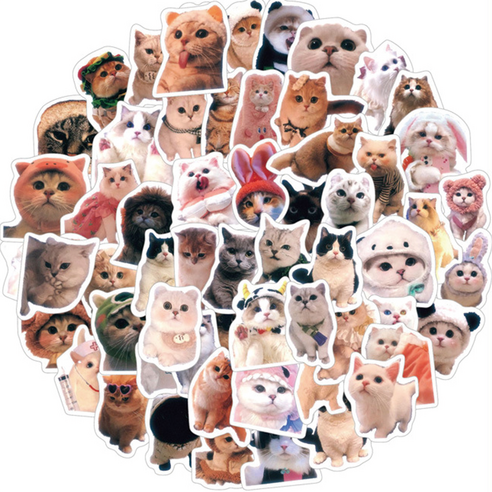 와이비비 캐리어 노트북 방수 스티커, 귀여운고양이, 100P