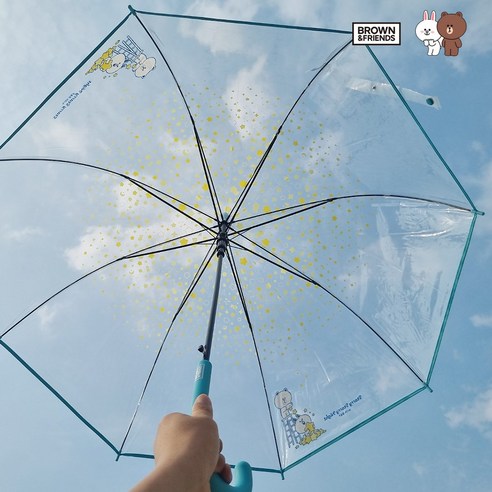 브라운앤프렌즈 별빛밤 POE 돔형 우산 살길이 65CM 대형 빅사이즈 투명 우산