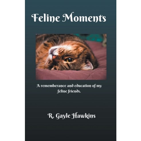 Feline Moments Paperback, R. Gayle Hawkins, English, 9781393685760