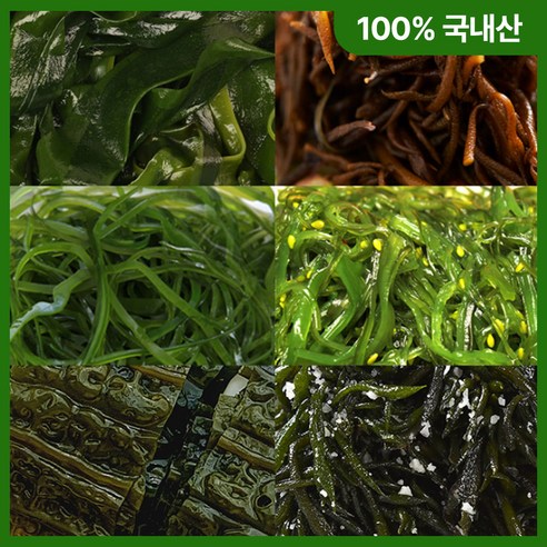 [종류별 옵션 선택] 완도 염장해초 6종 각 1kg 미역줄기 다시마 다시마채 꼬시래기 곰피 톳/ 해조류 해초샐러드 해초국수 해초무침, 다시마채 1kg, 1개