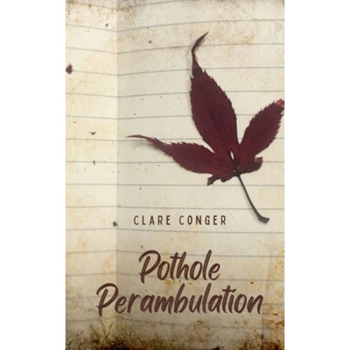 (영문도서) Pothole Perambulation Paperback, Libresco Feeds Private Limited, English, 9789357617475