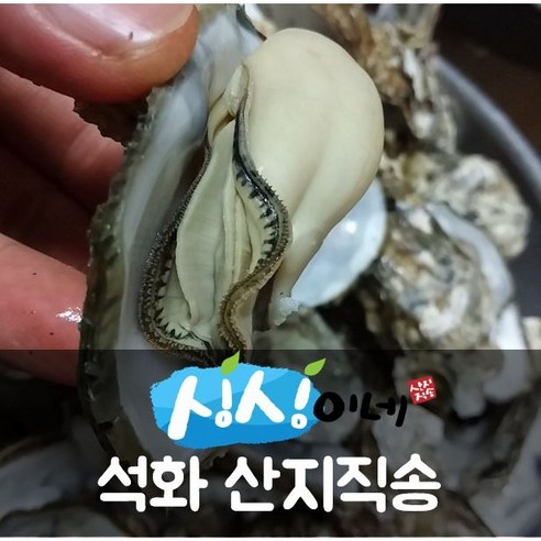 어떤 자리든 맛으로 압도하는 여수 싱싱이네 석화