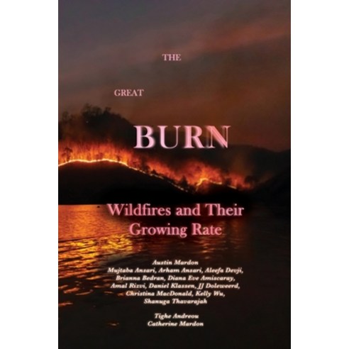(영문도서) The Great Burn: Wildfires and Their Growing Rate Paperback, Golden Meteorite Press, English, 9781773698960