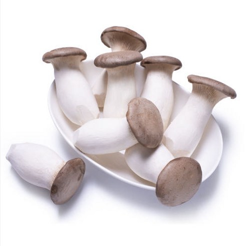 수출하는 땐땐이 새송이버섯 1kg 2kg, 미니새송이 2kg, 5개 - 새송이 | 쿠팡