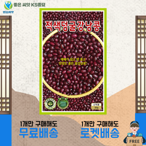 적색 덩굴강낭콩 씨앗 (30g) 종묘 종자 강낭콩 강남콩 콩 씨 영웅 KS, 1개