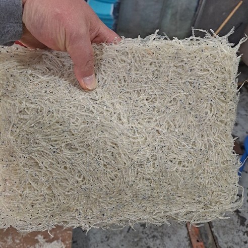 서동 햇실치 생뱅어포(10매), 100g-150g내외(10매), 1개