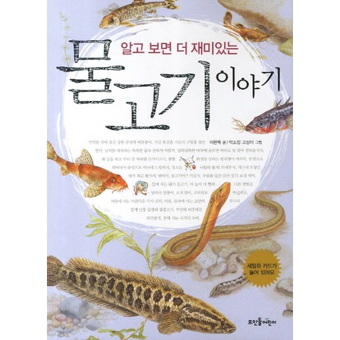 은 물고기 모양 실버 925 반지, 행운의 애끼 물고기는존재하지않는다 13 알고 보면 더 재미있는 물고기 이야기, 뜨인돌어린이