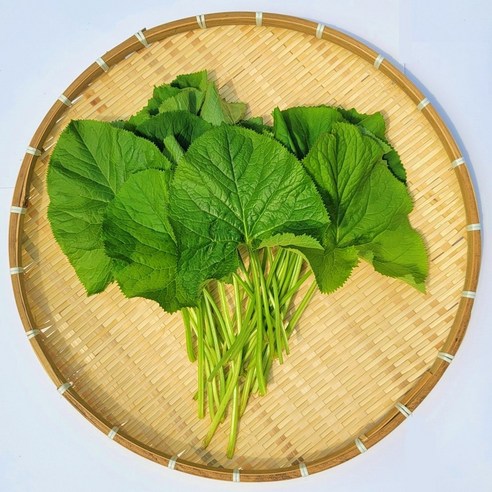 강원도 산지직송 신선한 곰취나물
