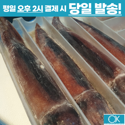 신선하고 맛있는 국내산 오징어의 탁월한 품질
