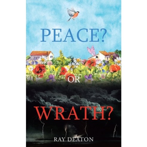 (영문도서) Peace? or Wrath? Paperback, Christian Faith, English, 9798888329351