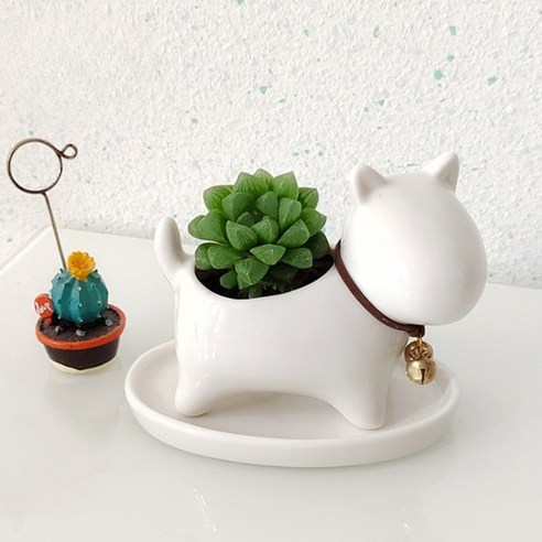 귀여운 고양이 화분, 다양한 활용도, 우수한 품질과 안전성