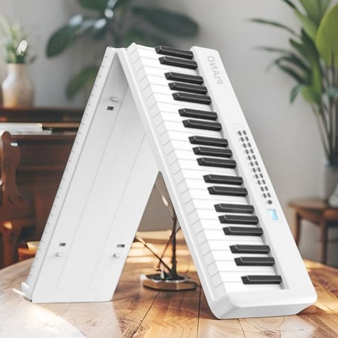 손끝으로 펼쳐지는 음악의 세계, 휴대용 접이식 피아노와 함께하는 특별한 시작 접이식피아노