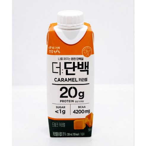 빙그레 더단백 드링크 카라멜, 9개, 250ml