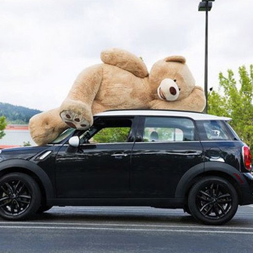 거대한 위안으로 가득 찬 별난아이 대형 곰인형