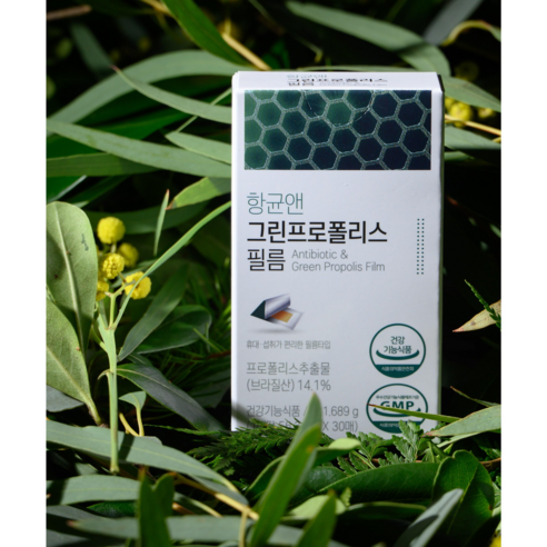 서울제약 구강관리 항균 프로폴리스필름 30매, 1박스, 30회분