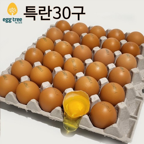 [오늘낳은 달걀] HACCP농가 에그트리 생계란 30구, 1개