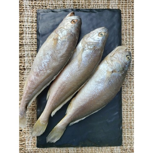 바로 조리할 수 있는 편리하고 풍미로운 반건조 제수용 조기