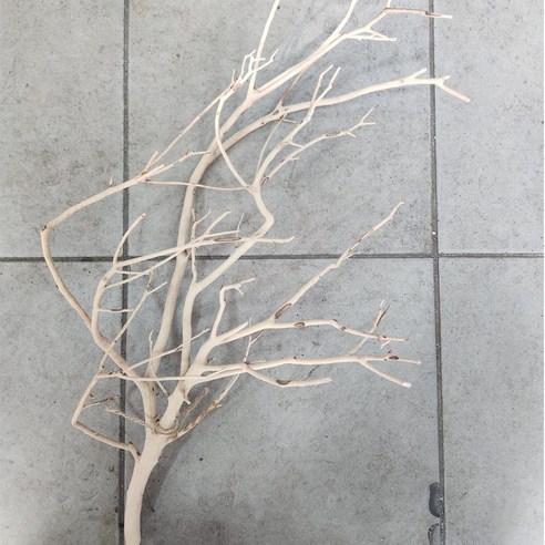 만자니타유목 잔가지유목 풍성한가지유목45~60cm, 1개