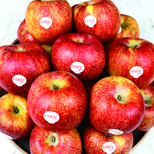 엔비사과는 유명한 곳에서 만들어진 주먹크기의 사과