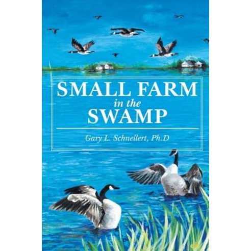 (영문도서) Small Farm in the Swamp Paperback, Page Publishing, Inc., English, 9781684562121