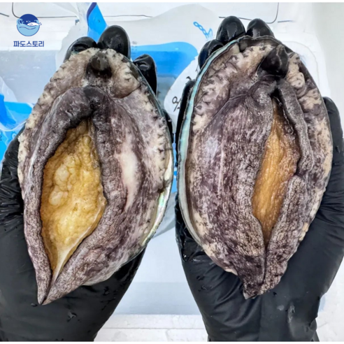 파도스토리 완도전복 2kg 왕특대 직거래 산지직송 선물세트 손질칼 증정, 2세트, 2kg(왕톡대 14-16미)
