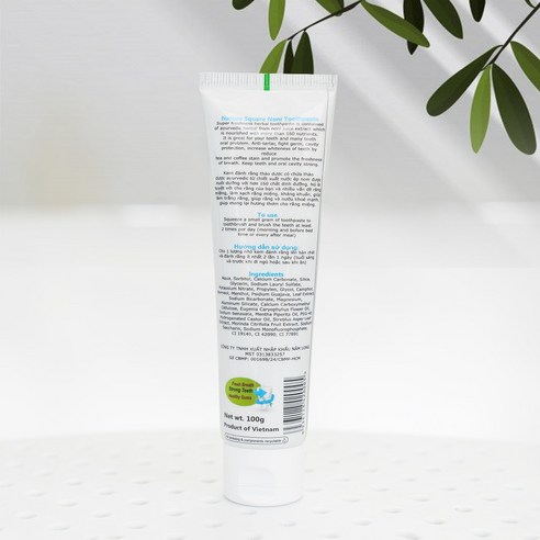 여행의 기억을 담은 잇몸 케어