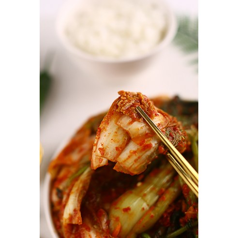 집밥 퀄리티, 김치 하나로 올리는 마법!