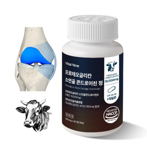 바이탈나인 프로테오글리칸 소연골 콘드로이친 정 600mg, 6개, 60정