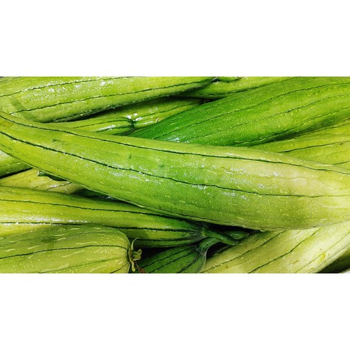 꼬숩네 바른 수세미차로 기관지 건강을 간편하게!