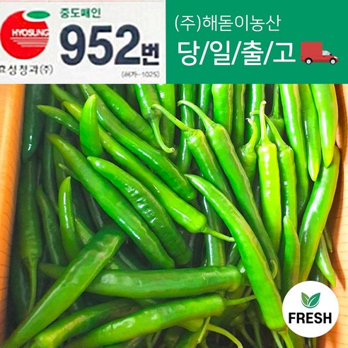 <해돋이농산> 국내산 아삭이고추 오이고추 오이맛고추 못난이상품 5kg 10kg, 못난이 아삭이고추 10kg(1box), 1개”></div>
<div style=