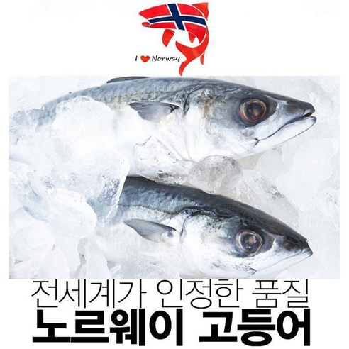 (특가할인중)노르웨이 고등어 순살팩, 노르웨이고등어 10팩맛보기 120-140G 10팩, 10개