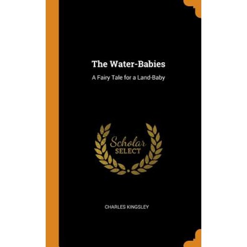 (영문도서) The Water-Babies: A Fairy Tale for a Land-Baby Hardcover, Franklin Classics Trade Press, English, 9780344340154