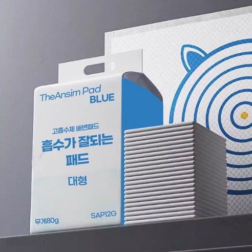 안심패드 100매 20g SAP 2g (40x50) 블루, 40매입, 2개