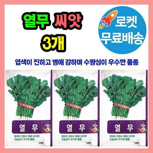 열무 씨앗 3봉 종자 씨, 3개