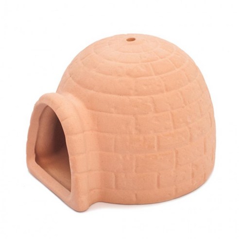 신비로운 수중 정원, 이글루 산란상으로 새 생명을 품다 crs새우