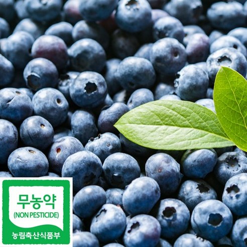 친환경 국내산 무농약 생과 햇블루베리(500g_무선별), 1개